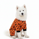 Pijama Pet Halloween - Icono