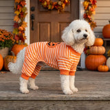 Perro Calabaza