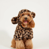 Suter Perruno - Leopard