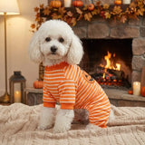 Perro Calabaza
